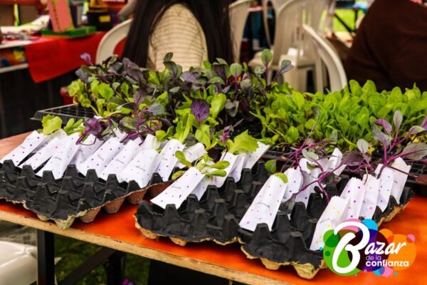 Baza_de_la_Confianza_Boyacá-23