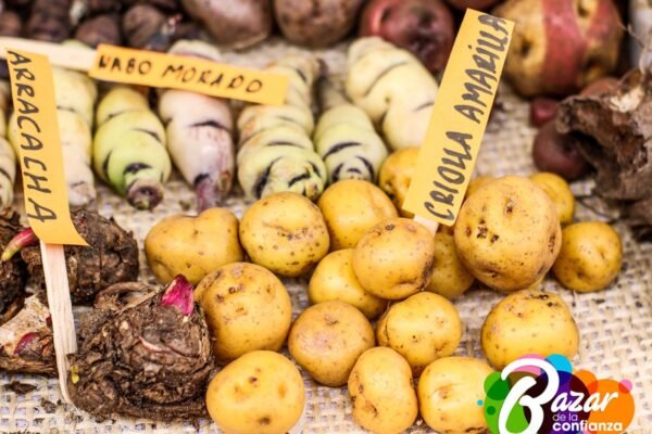 Baza_de_la_Confianza_Boyacá-25-2