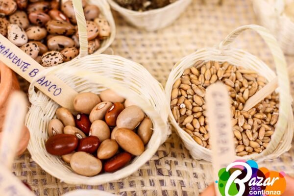 Baza_de_la_Confianza_Boyacá-27-2