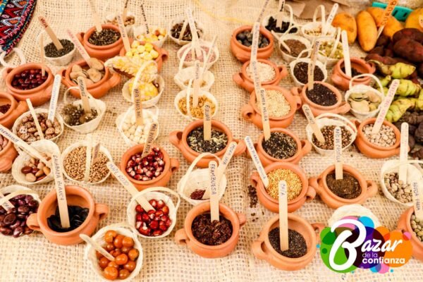 Baza_de_la_Confianza_Boyacá-28-2