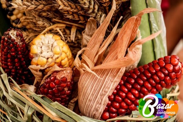 Baza_de_la_Confianza_Boyacá-30-2