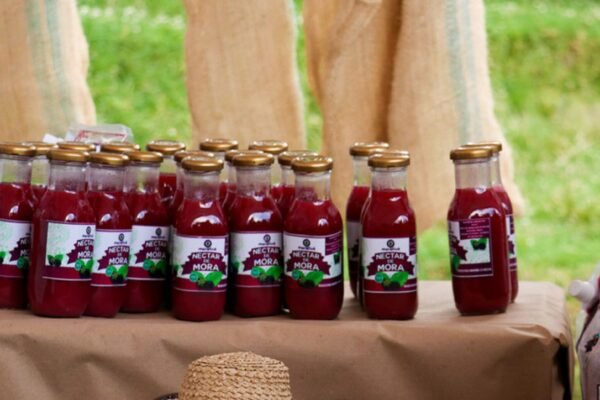 Baza_de_la_Confianza_Boyacá-42-1