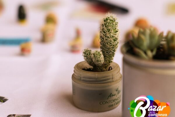 Bazar_de_la_Confianza_Boyaca_El_Cambio-39-1