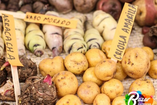 El_Bazar_de_la_Confianza_Boyacá-10-2