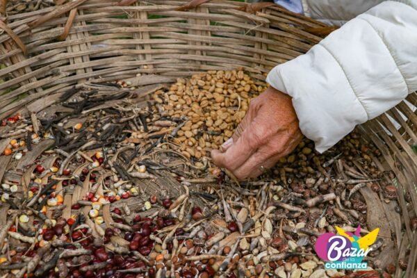 Ecologia-Cotidiana-Bazar-de-la-Confianza-100