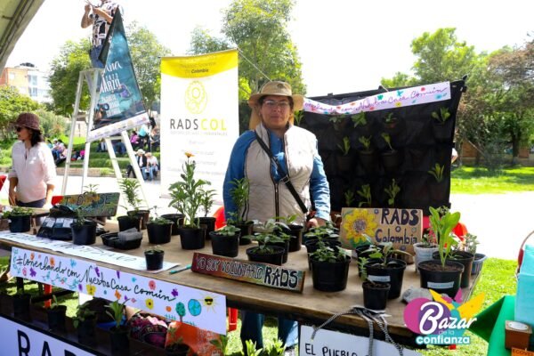 Ecologia-Cotidiana-Bazar-de-la-Confianza-55