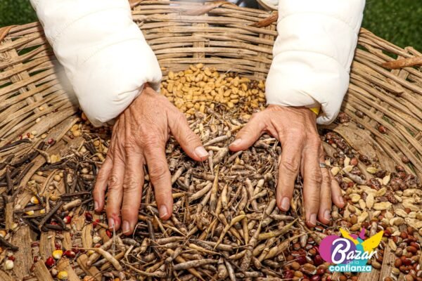 Ecologia-Cotidiana-Bazar-de-la-Confianza-89