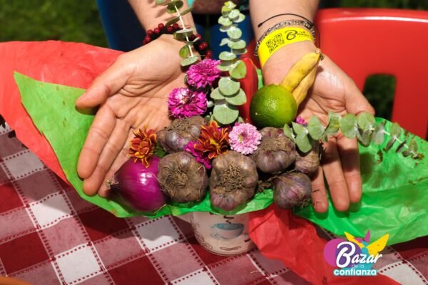 Ecologia-Cotidiana-Bazar-de-la-Confianza-97