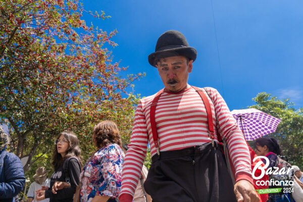 ARTES_VIVAS_BAZAR_DE_LA_CONFIANZA_BOYACA47