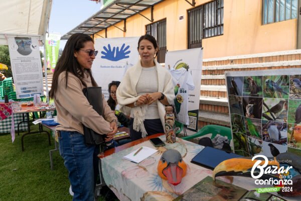 ecologia-de-lo-cotidiano-bazar-de-la-confianza-boyaca-15 ecologia-de-lo-cotidiano-bazar-de-la-confianza-boyaca-15