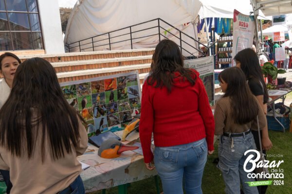 ecologia-de-lo-cotidiano-bazar-de-la-confianza-boyaca-21 ecologia-de-lo-cotidiano-bazar-de-la-confianza-boyaca-21