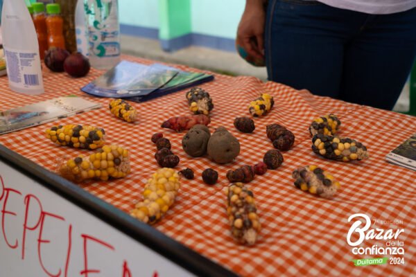 ecologia-de-lo-cotidiano-bazar-de-la-confianza-boyaca-27 ecologia-de-lo-cotidiano-bazar-de-la-confianza-boyaca-27