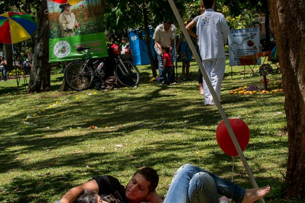 14610132440_1fef680e3a_h