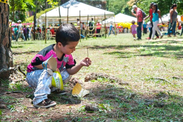 14610277958_a4fd13d09d_h