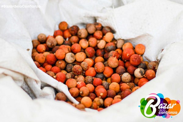 Ecología_de_lo_Cotidiano_Bazar_de_la_Confianza-7