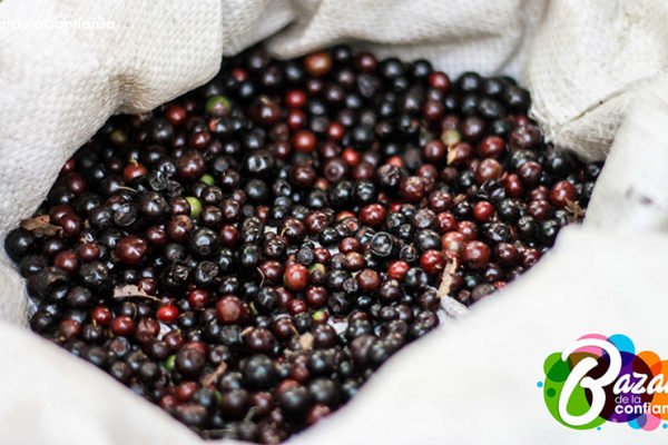 Ecología_de_lo_Cotidiano_Bazar_de_la_Confianza-8