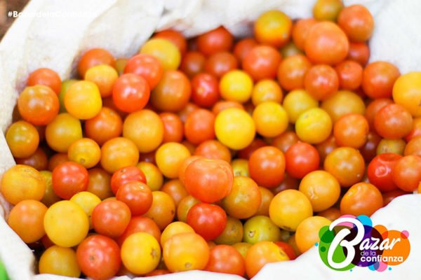 Ecología_de_lo_Cotidiano_Bazar_de_la_Confianza-9