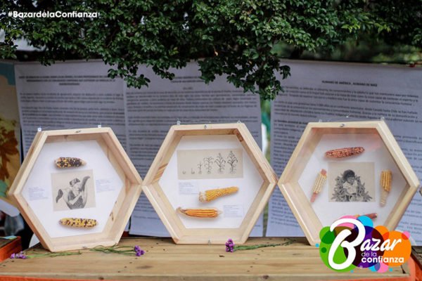 Rincon_de_mi_pueblo_Bazar_de_la_Confianza-7