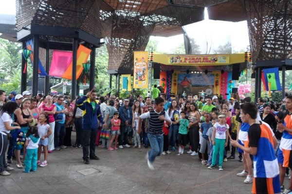 SAM_0132-Copy SAM_0132-Copy