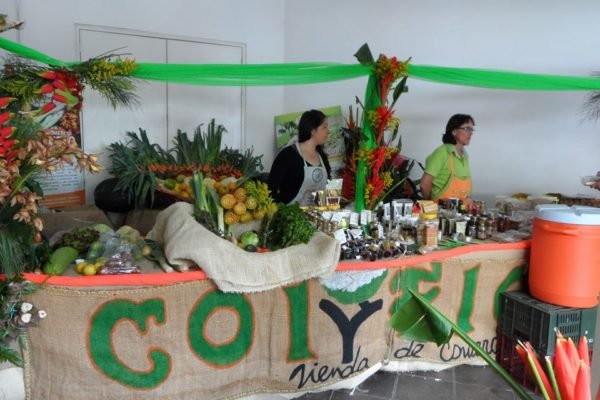 SAM_0149-Copy SAM_0149-Copy