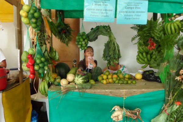 SAM_0150-Copy SAM_0150-Copy