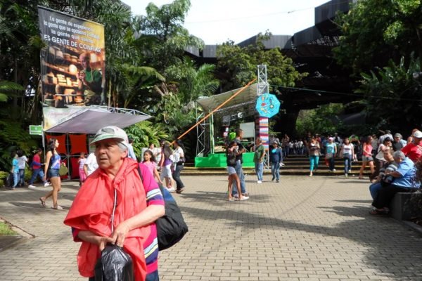 SAM_0152-Copy SAM_0152-Copy