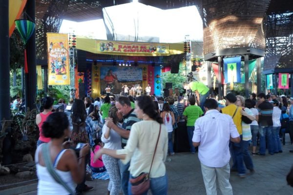 SAM_0194-Copy SAM_0194-Copy