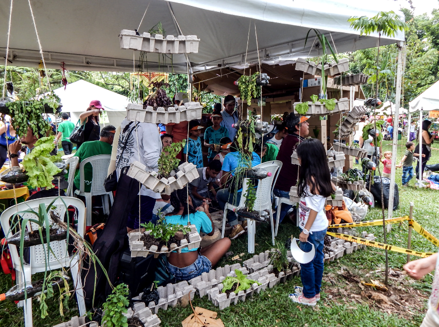 Ecología de lo Cotidiano una manera de cuidar la casa de todos