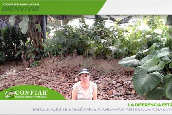 foto-bazar-de-la-confianza-2016-192