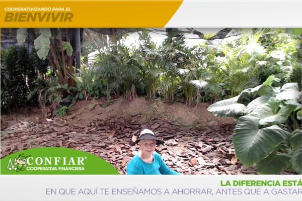 foto-bazar-de-la-confianza-2016-204