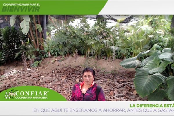 foto-bazar-de-la-confianza-2016-239