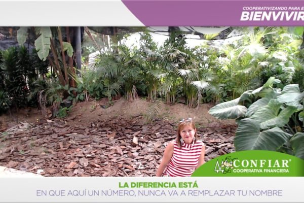 foto-bazar-de-la-confianza-2016-249