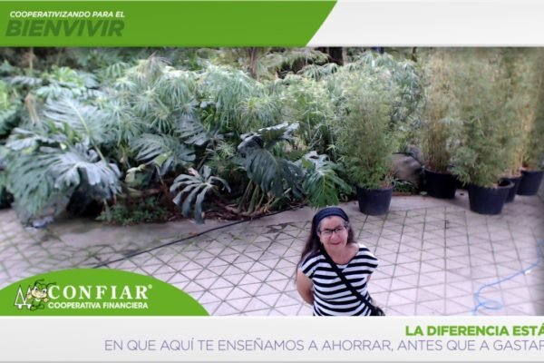 foto-bazar-de-la-confianza-2016-264