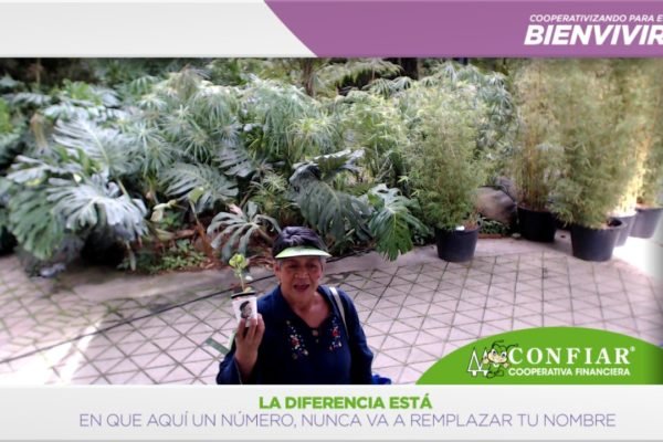 foto-bazar-de-la-confianza-2016-290