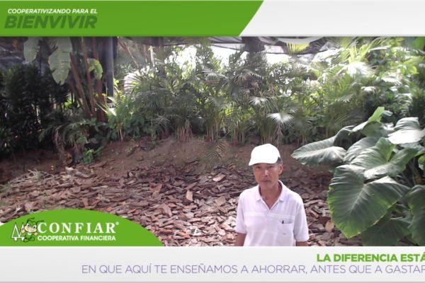 foto-bazar-de-la-confianza-2016-299