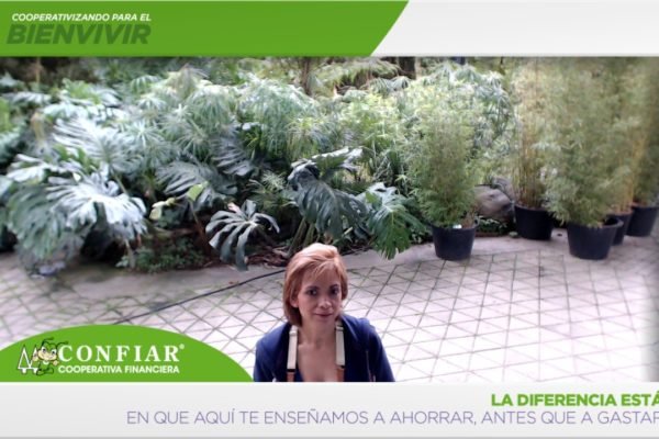 foto-bazar-de-la-confianza-2016-306