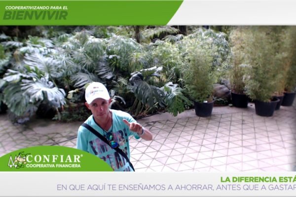 foto-bazar-de-la-confianza-2016-319