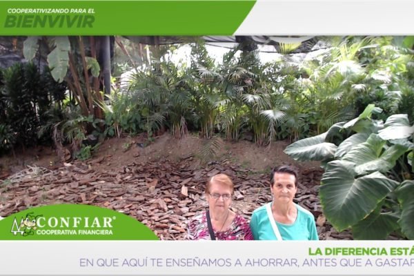 foto-bazar-de-la-confianza-2016-339