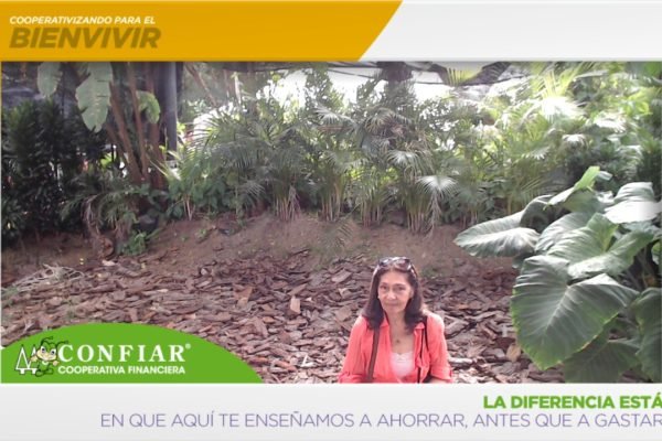 foto-bazar-de-la-confianza-2016-347