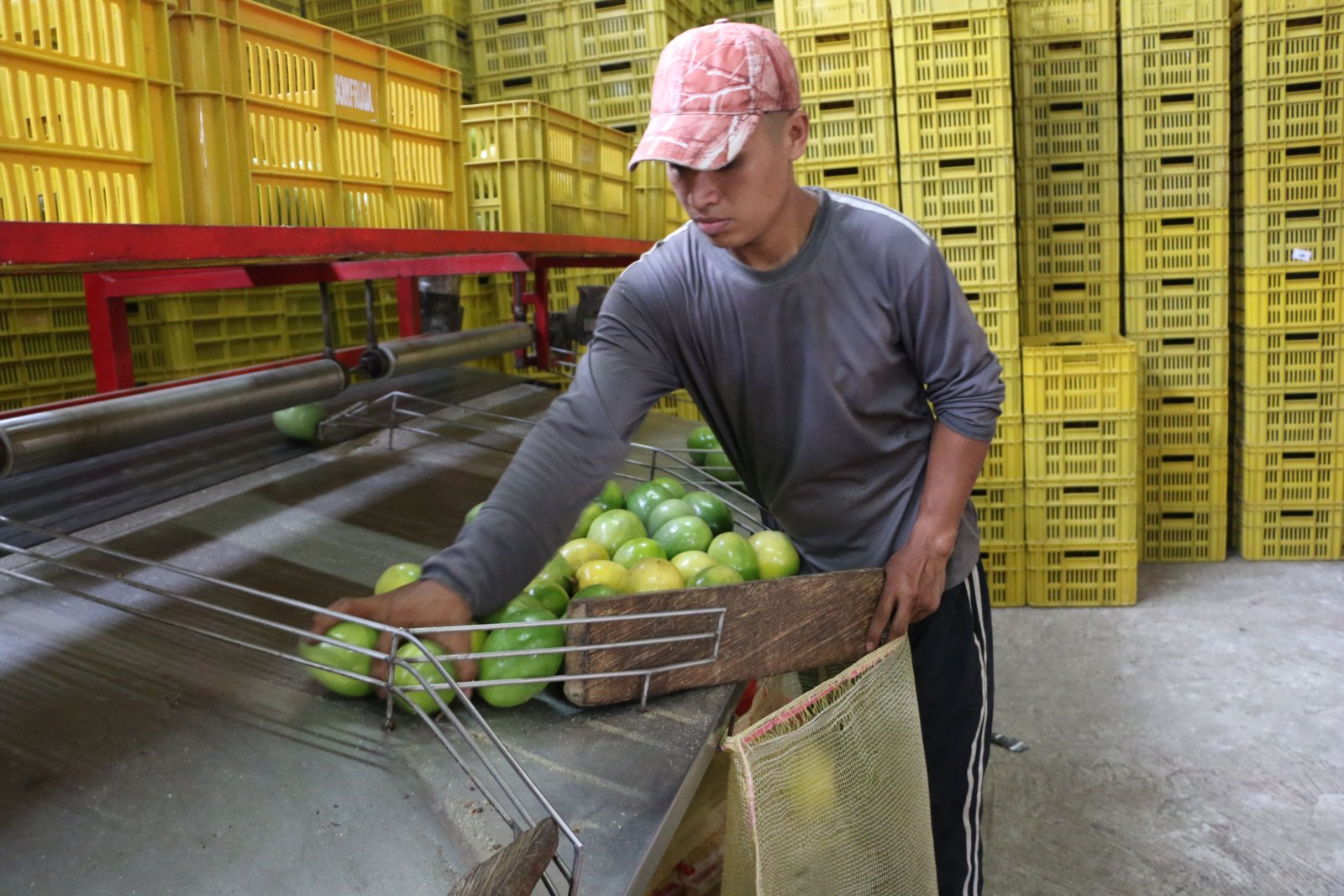 Red de sueños solidarios