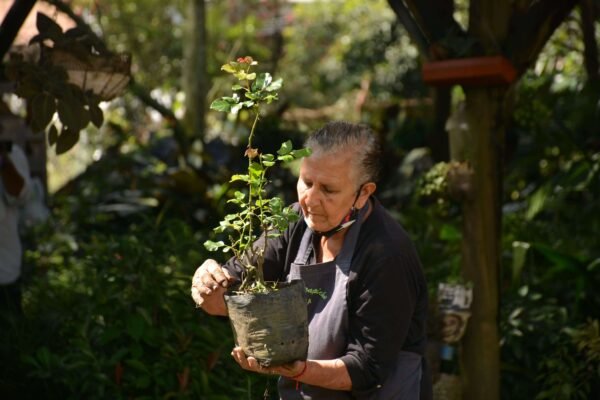 Bazar de la confianza- confiar 03 (1) Bazar de la confianza- confiar 03 (1)