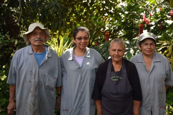 Bazar de la confianza-confiar 06 (1) Bazar de la confianza-confiar 06 (1)