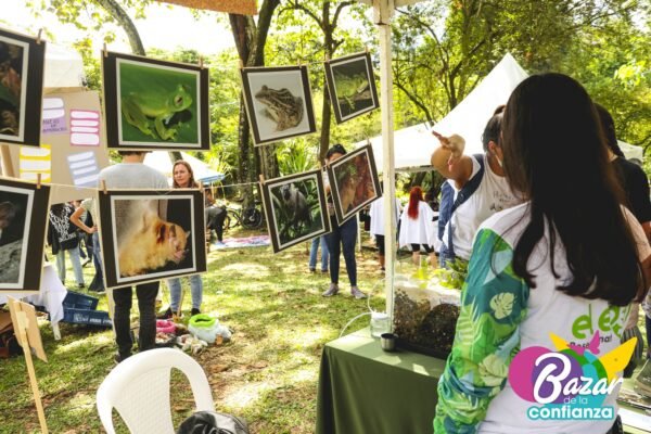 Ecología-de-lo-Cotidiano-BazardelaConfianza-2022-19 Ecología-de-lo-Cotidiano-BazardelaConfianza-2022-19
