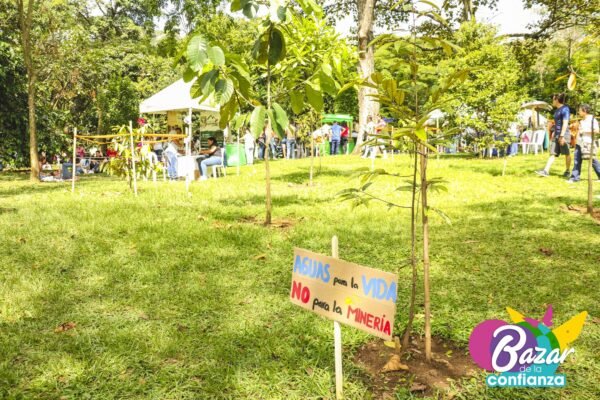 Ecología-de-lo-Cotidiano-BazardelaConfianza-2022-42 Ecología-de-lo-Cotidiano-BazardelaConfianza-2022-42