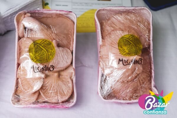 Economías-para-la-paz-BazardelaConfianza-2022-16 Economías-para-la-paz-BazardelaConfianza-2022-16