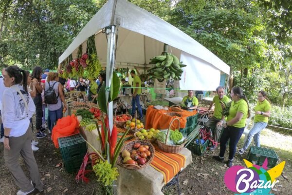 DCIM100GOPROGOPR4558.JPG DCIM100GOPROGOPR4558.JPG