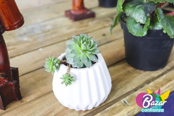 Mercado-Solidario-BazardelaConfianza-2022-29 Mercado-Solidario-BazardelaConfianza-2022-29