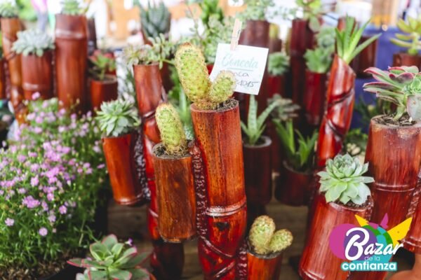 Mercado-Solidario-BazardelaConfianza-2022-31 Mercado-Solidario-BazardelaConfianza-2022-31