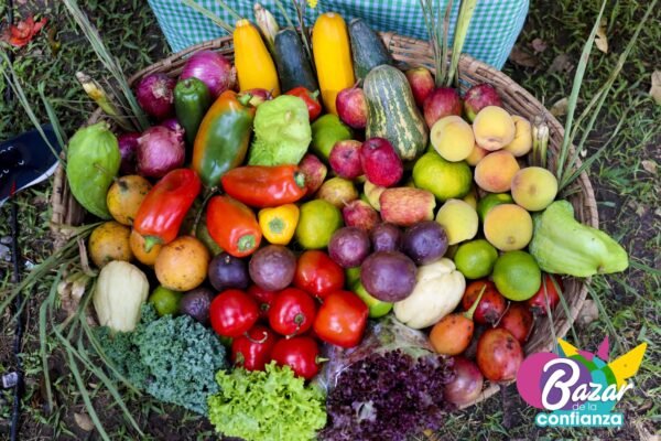 Mercado-Solidario-BazardelaConfianza-2022-56 Mercado-Solidario-BazardelaConfianza-2022-56