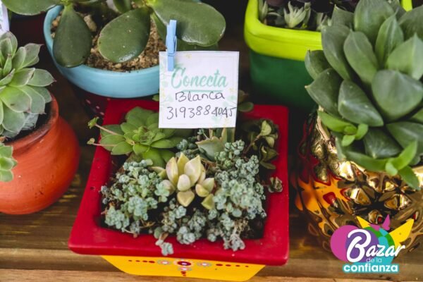 Mercado-Solidario-BazardelaConfianza-2022-60 Mercado-Solidario-BazardelaConfianza-2022-60